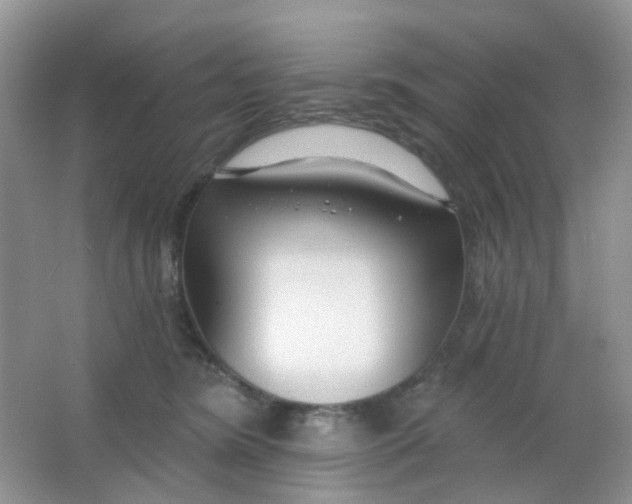 X0000065950420200603241826