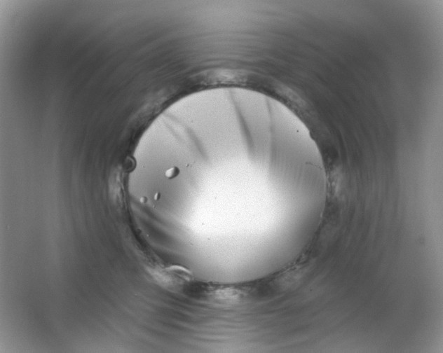 X0000065950423200603241826