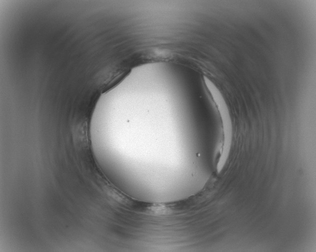 X0000065950425200603241826