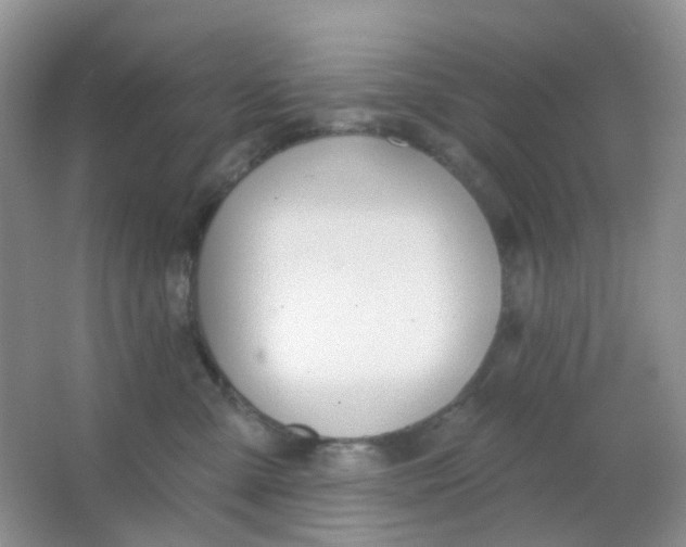 X0000065950427200603241826