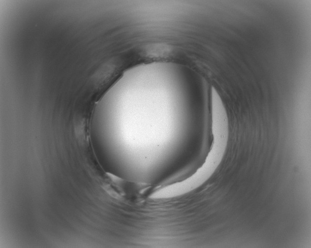 X0000065950428200603241826