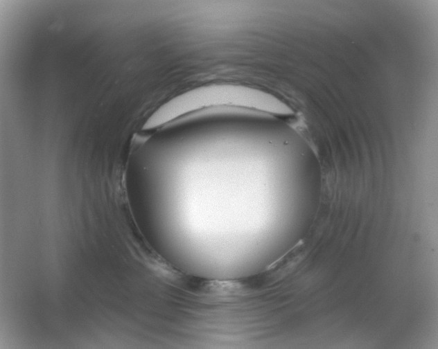 X0000065950429200603241826