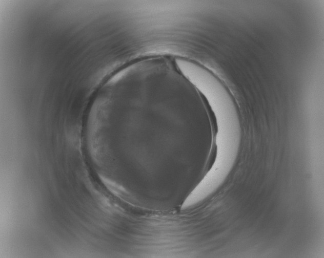 X0000065950434200603241825