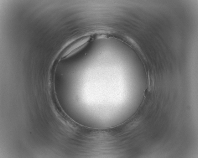 X0000065950435200603241825
