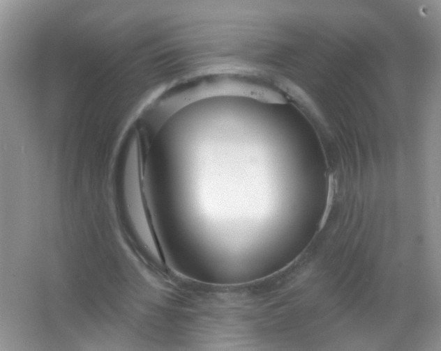 X0000065950436200603241825