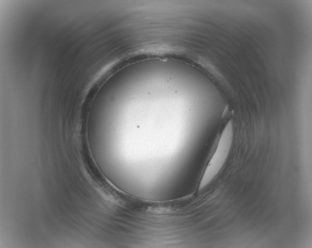 X0000065950440200603241825