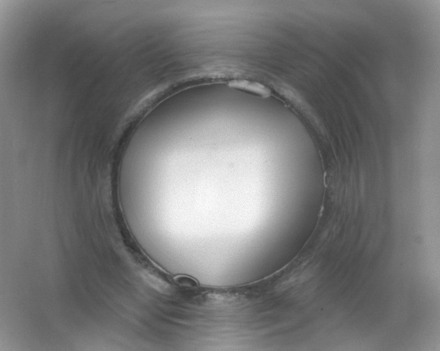X0000065950442200603241825