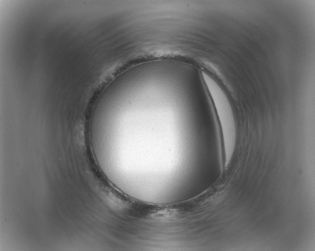 X0000065950447200603241825