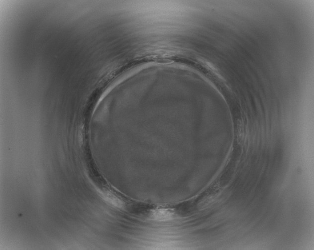 X0000065950451200603241825