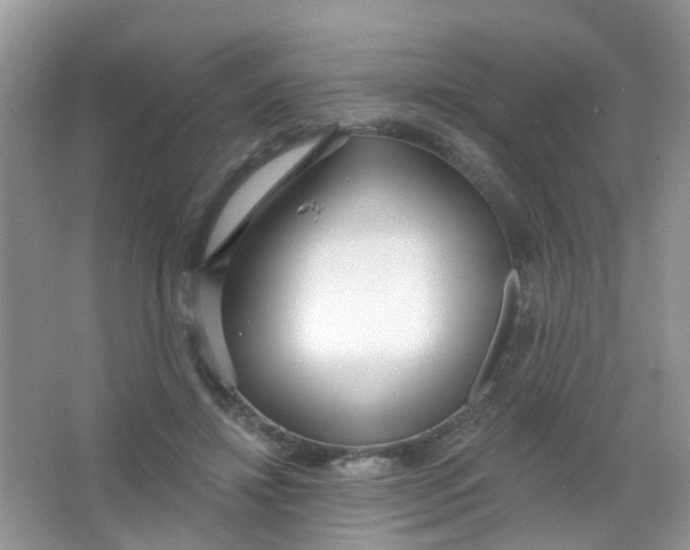X0000065950452200603241825