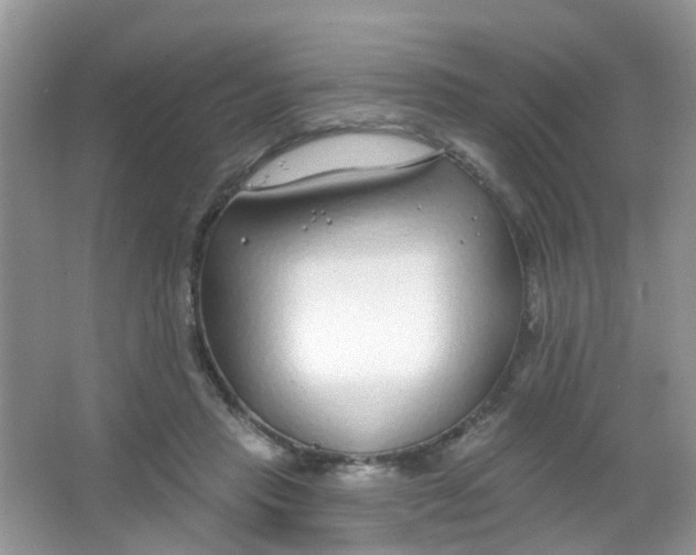 X0000065950453200603241825