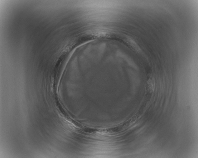 X0000065950458200603241825