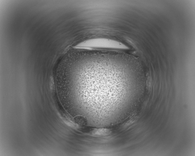 X0000065950459200603241825