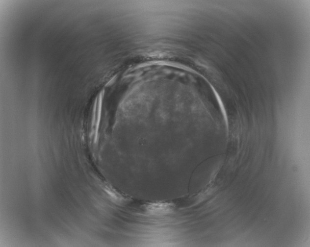 X0000065950465200603241825