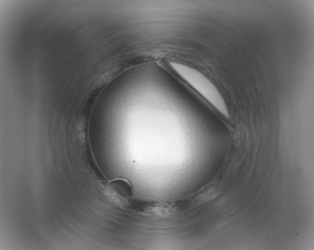X0000065950466200603241825