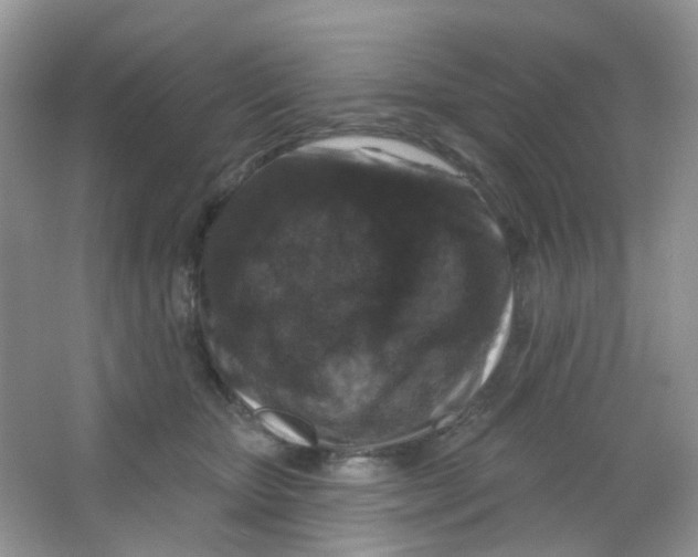 X0000065950467200603241825