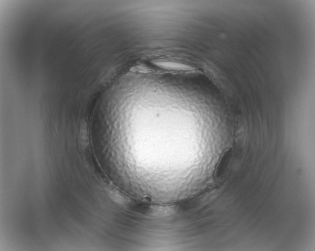 X0000065950469200603241826