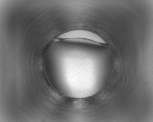 X0000065950470200603241826