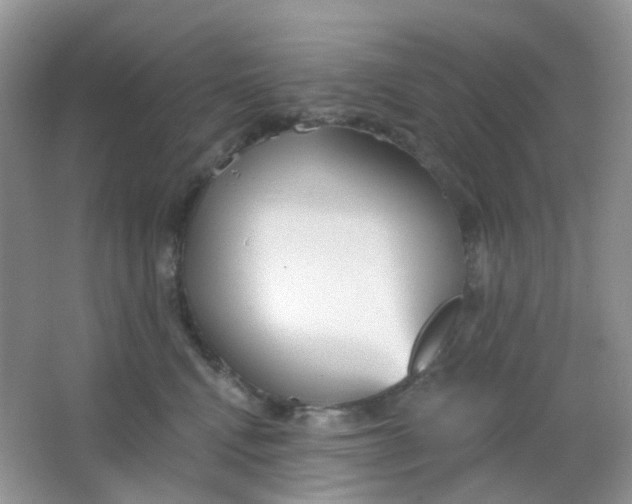 X0000065950472200603241826