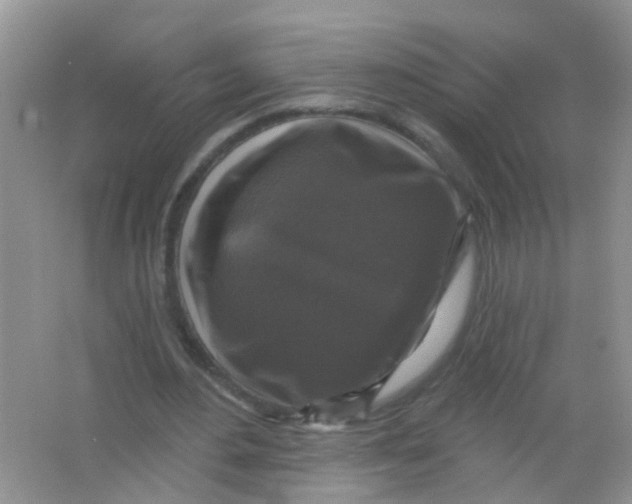 X0000065950484200603241825