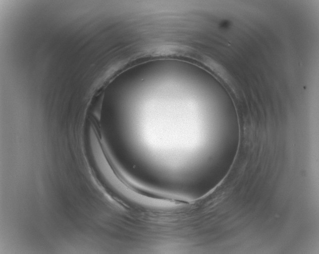 X0000065950485200603241825
