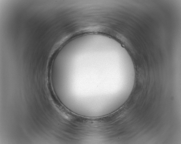 X0000065950486200603241825