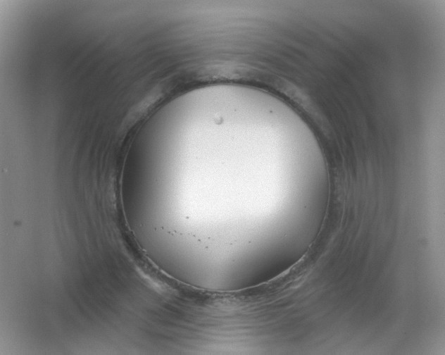 X0000065950489200603241825