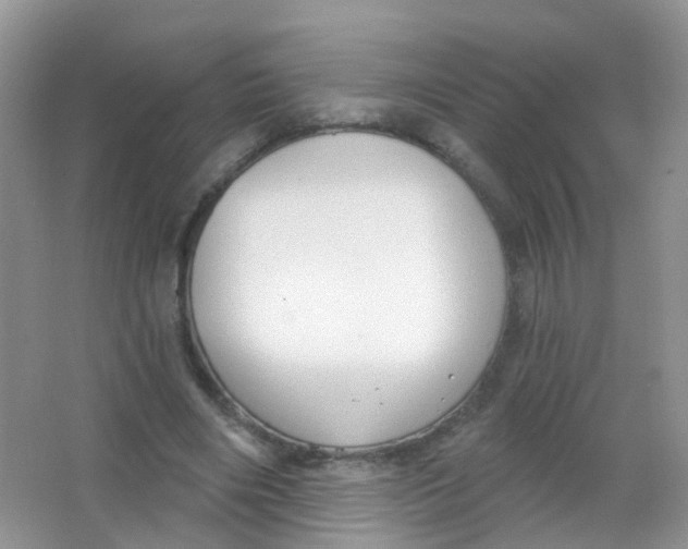 X0000065950490200603241825