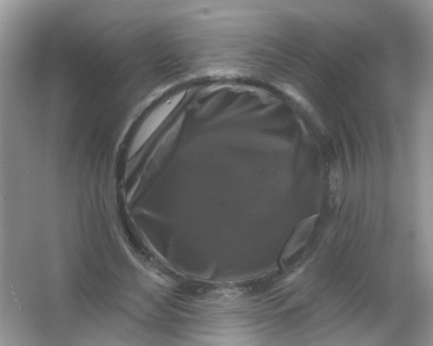 X0000065950492200603241825