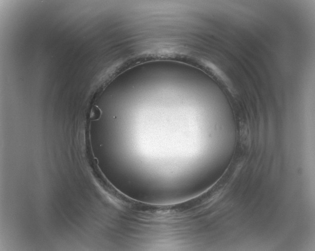 X0000065950493200603241825