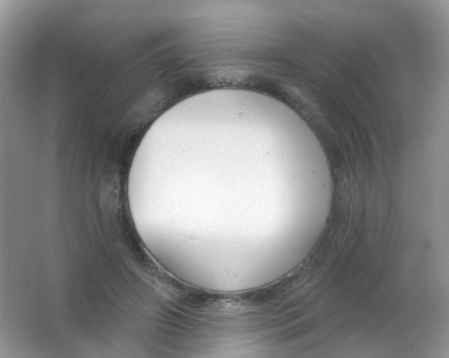 X0000065950498200603241825