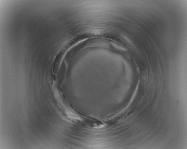 X0000065950500200603241825