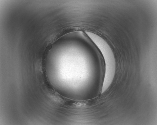 X0000065950512200603241824
