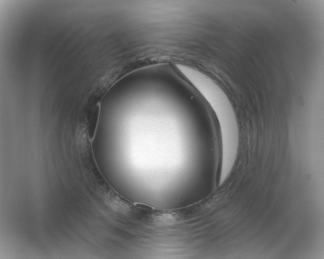 X0000065950513200603241824