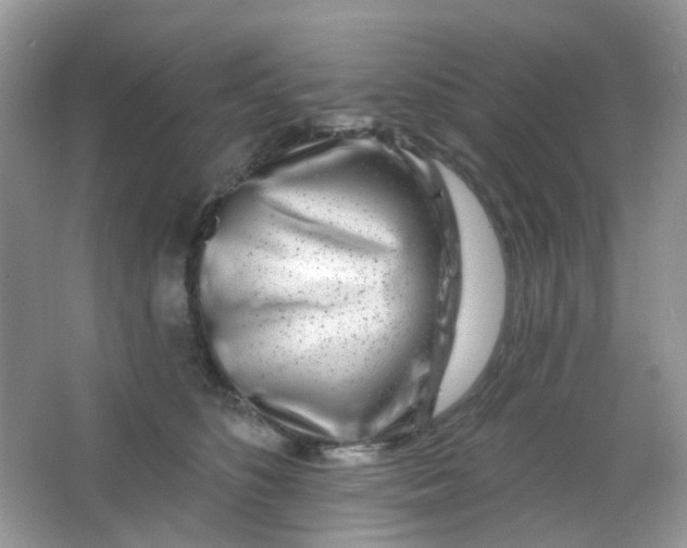 X0000065950516200603241824