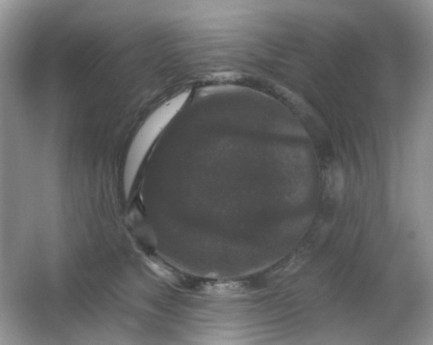 X0000065950517200603241824