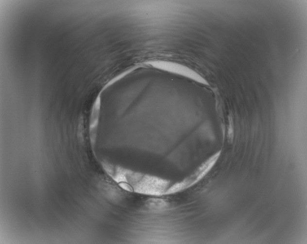 X0000065950519200603241824