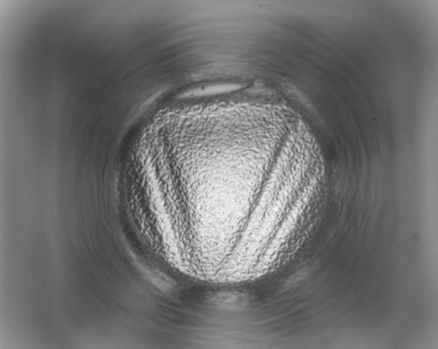 X0000065950542200603241823