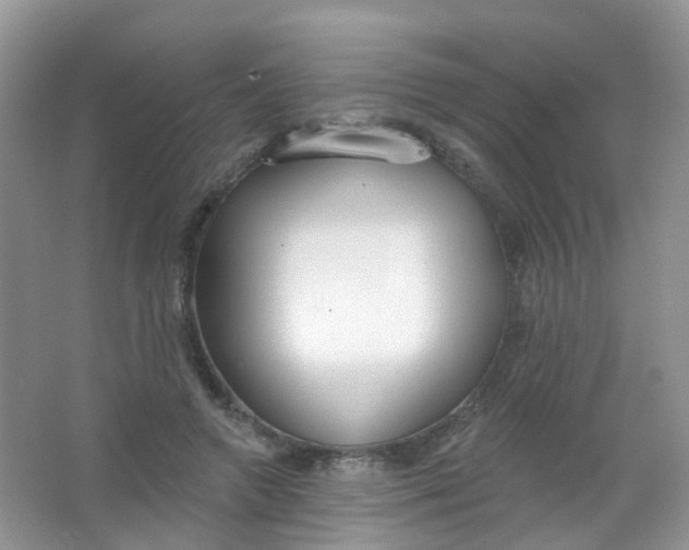X0000065950546200603241824