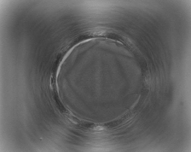 X0000065950551200603241824