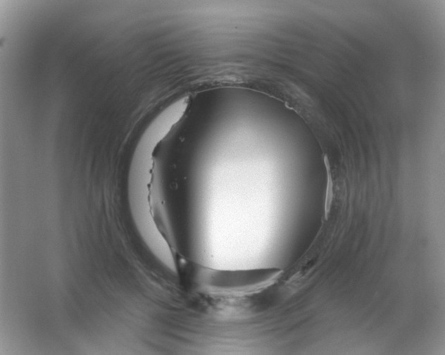 X0000065950552200603241824