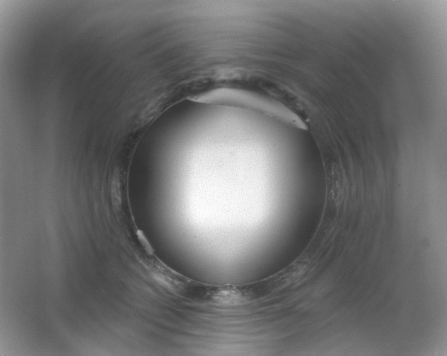 X0000065950562200603241824