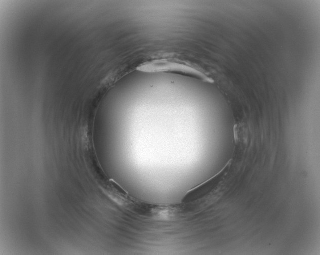 X0000065950564200603241824