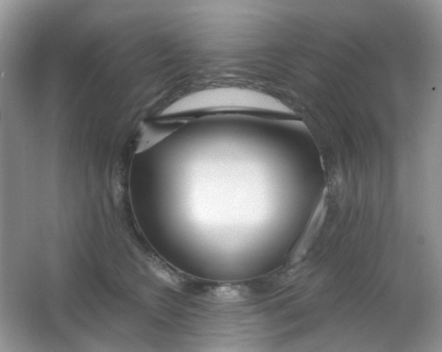 X0000065950566200603241824