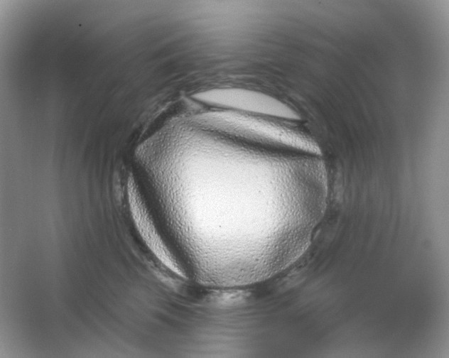 X0000065950569200603241824