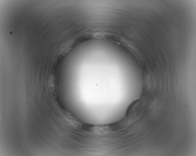 X0000065950571200603241824