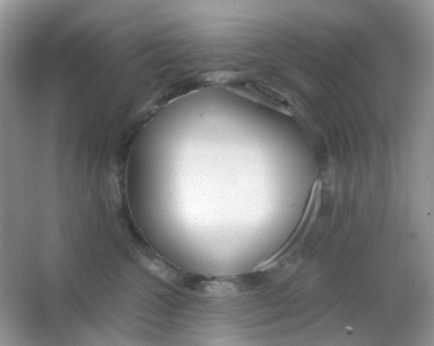 X0000065950572200603241824