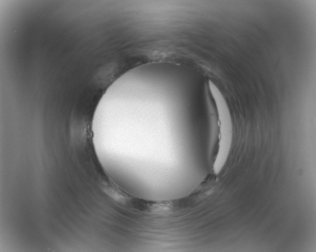 X0000065950574200603241824