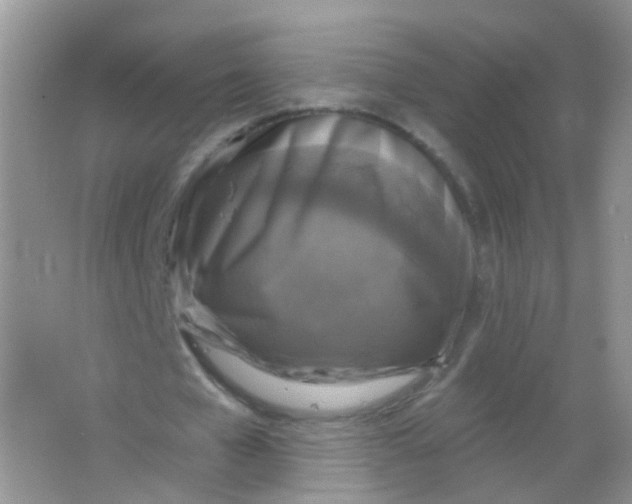 X0000065950577200603241823