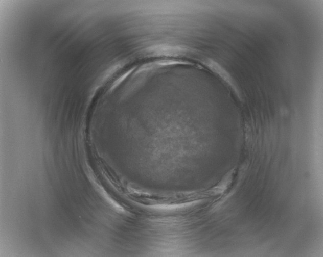 X0000065950581200603241823